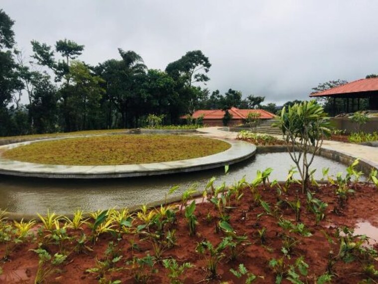 Machaan Plantation Resort-2